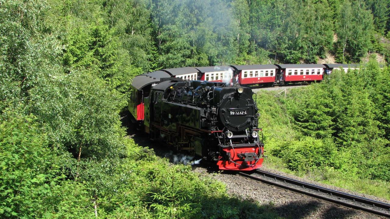 Ferienhaus Am Westerntor I Wernigerode Eksteriør billede