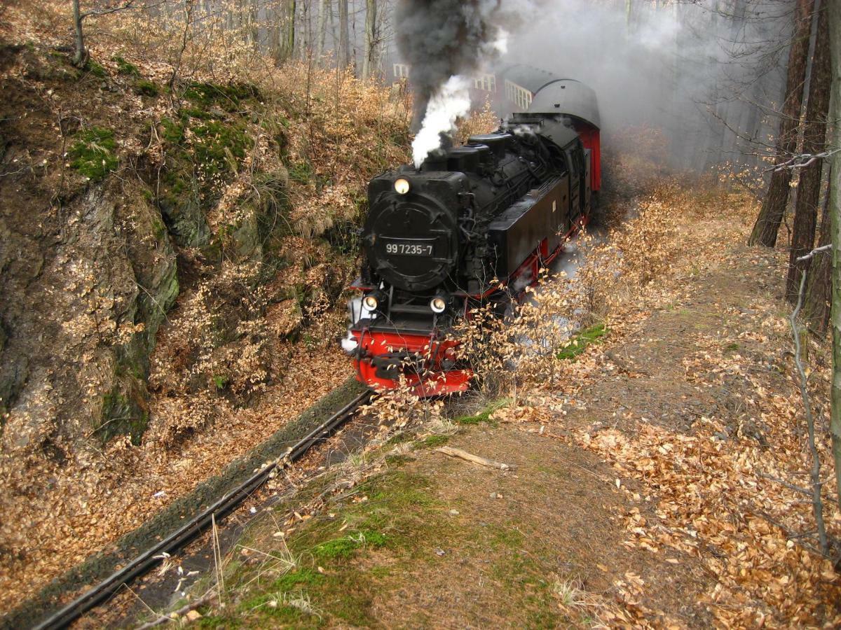 Ferienhaus Am Westerntor I Wernigerode Eksteriør billede